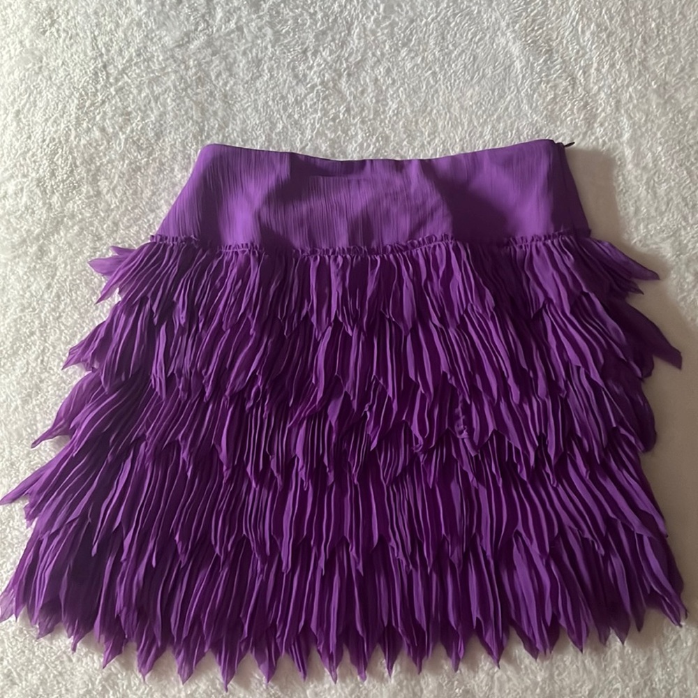Philosophy skirt